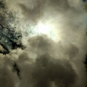 Meet your Posher, Tonya